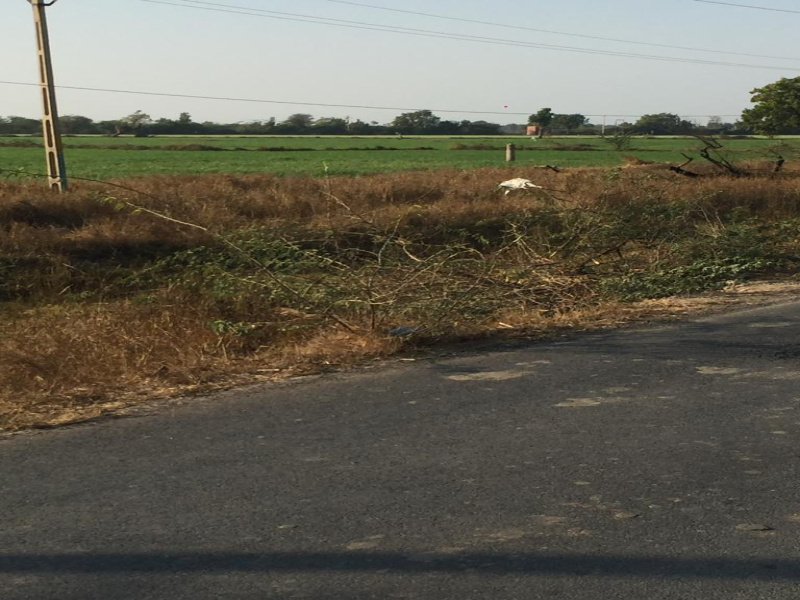  Agricultural Land 3600 Sq. Meter for Sale in Sanand, Ahmedabad