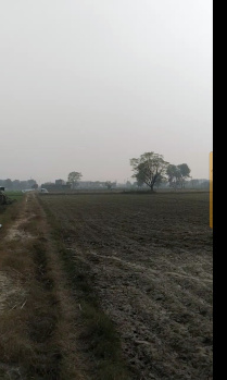  Agricultural Land for Sale in Gagol Road, Meerut