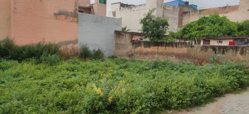  Residential Plot 127 Sq. Yards for Sale in Saraswati Vihar, Rewari