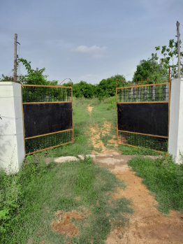  Agricultural Land for Sale in Nakrekal, Nalgonda