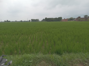  Industrial Land for Sale in Ledwa Mahua, SantKabir Nagar