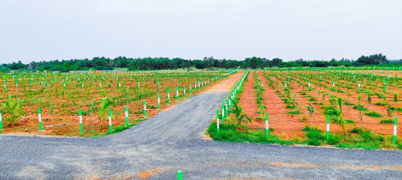  Agricultural Land 9600 Sq.ft. for Sale in Madurantakam, Chennai