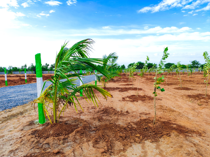  Agricultural Land 9600 Sq.ft. for Sale in Madurantakam, Chennai