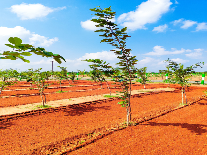  Agricultural Land 9600 Sq.ft. for Sale in Ecr To Marakanam Road, Chennai