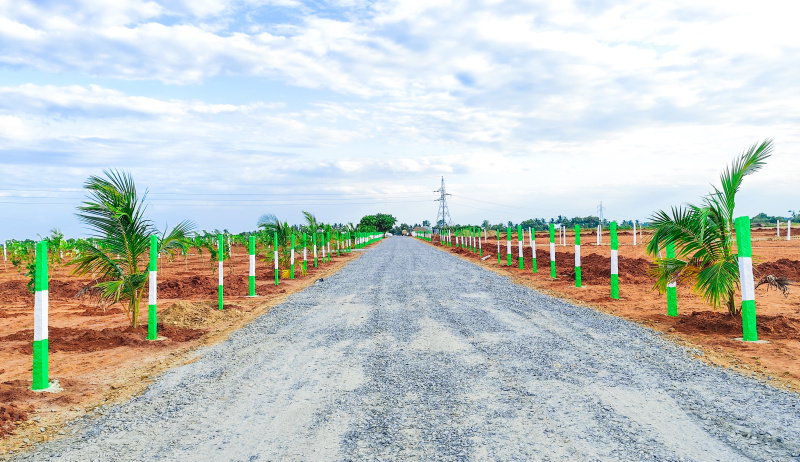  Agricultural Land 9600 Sq.ft. for Sale in Acharapakkam, Chengalpattu