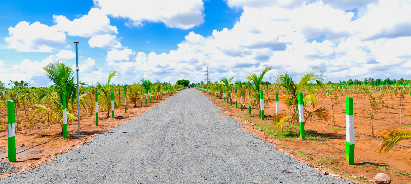  Agricultural Land 10000 Sq.ft. for Sale in Ecr To Marakanam Road, Chennai