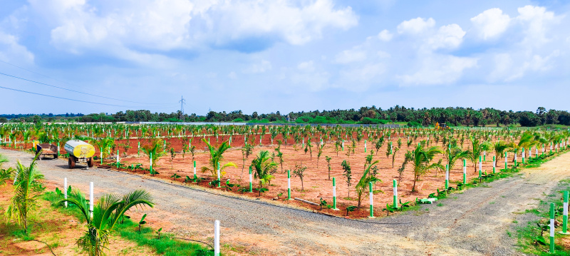  Agricultural Land 10000 Sq.ft. for Sale in Ecr To Marakanam Road, Chennai