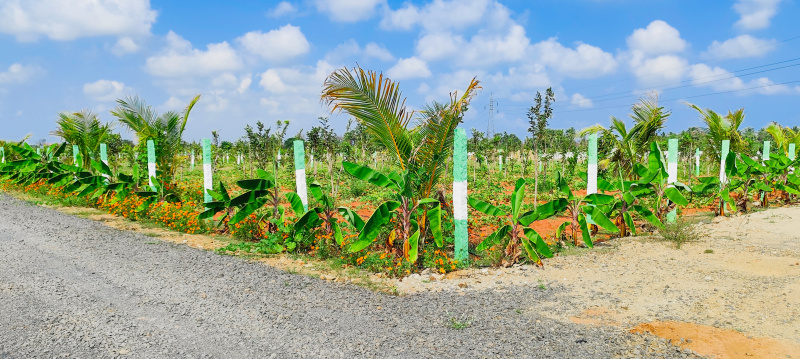  Agricultural Land 12000 Sq.ft. for Sale in Ecr To Marakanam Road, Chennai