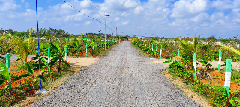  Agricultural Land 12000 Sq.ft. for Sale in Chengalpet, Chennai