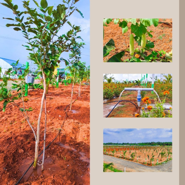  Agricultural Land 10000 Sq.ft. for Sale in Kelambakkam, Chennai