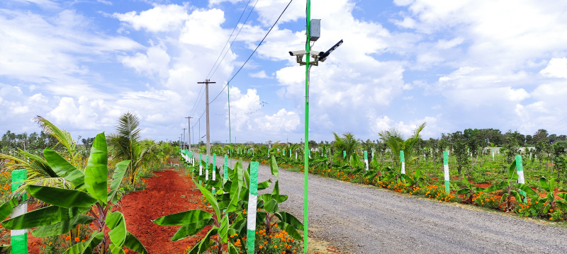  Agricultural Land 10000 Sq.ft. for Sale in Kelambakkam, Chennai