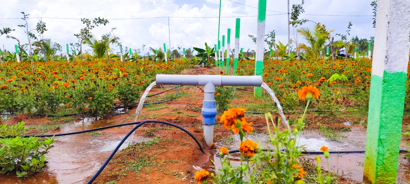  Agricultural Land 10000 Sq.ft. for Sale in Kelambakkam, Chennai