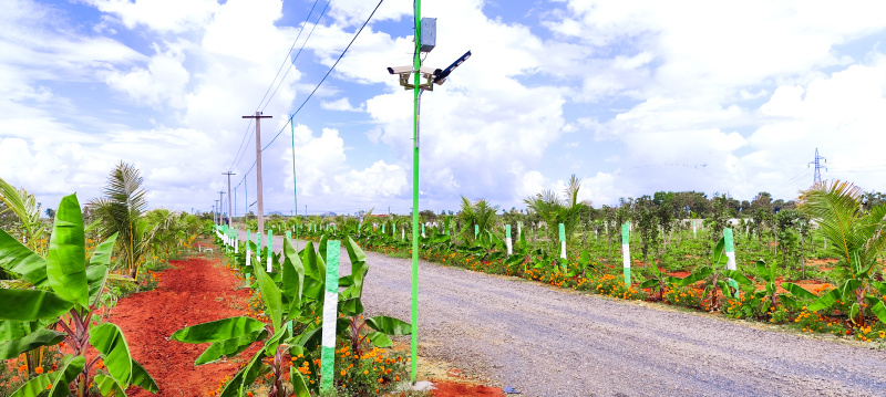  Agricultural Land 12000 Sq.ft. for Sale in Medavakkam, Chennai