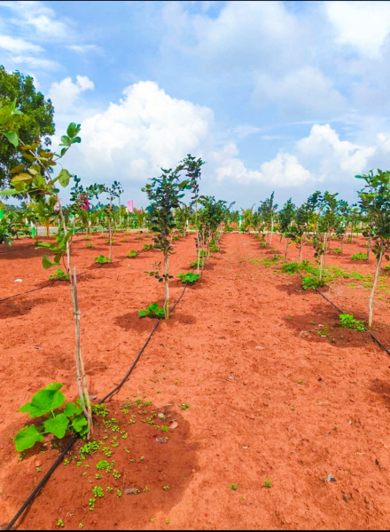  Agricultural Land 9600 Sq.ft. for Sale in East Coast Road, Pondicherry
