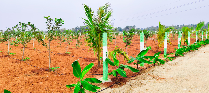  Agricultural Land 10000 Sq.ft. for Sale in East Coast Road, Pondicherry