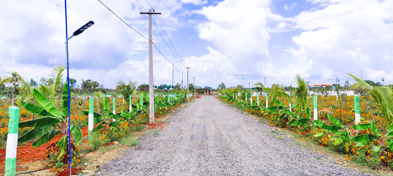  Agricultural Land 10000 Sq.ft. for Sale in East Coast Road, Pondicherry