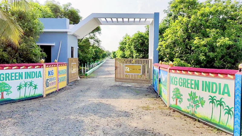  9600 Sq.ft. Agricultural/Farm Land for Sale in Tindivanam, Chennai