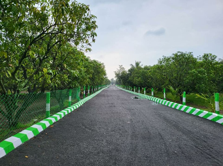  9600 Sq.ft. Agricultural/Farm Land for Sale in Tindivanam, Chennai