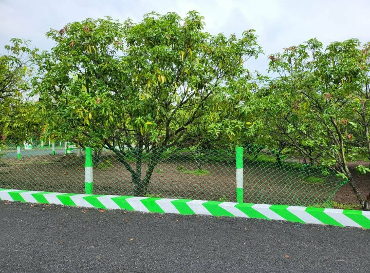  9600 Sq.ft. Agricultural/Farm Land for Sale in Tindivanam, Chennai