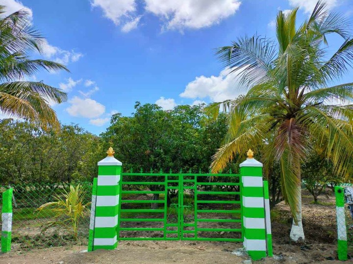  10000 Sq.ft. Agricultural/Farm Land for Sale in Acharapakkam, Chengalpattu