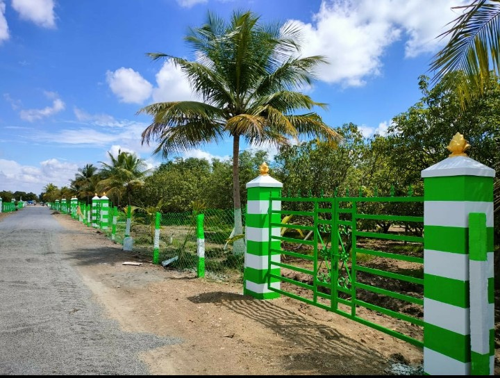  10000 Sq.ft. Agricultural/Farm Land for Sale in Acharapakkam, Chengalpattu