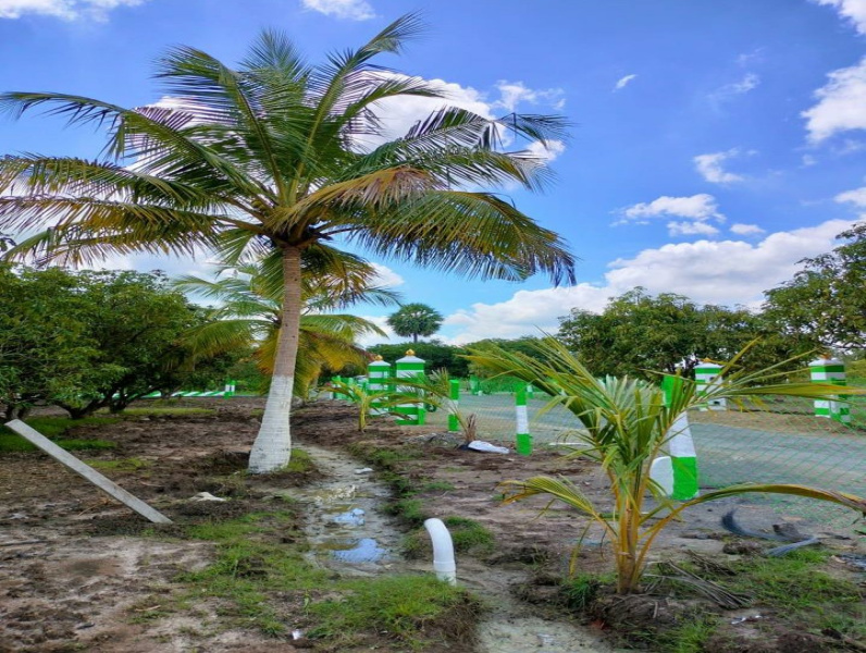  10000 Sq.ft. Agricultural/Farm Land for Sale in Acharapakkam, Chengalpattu