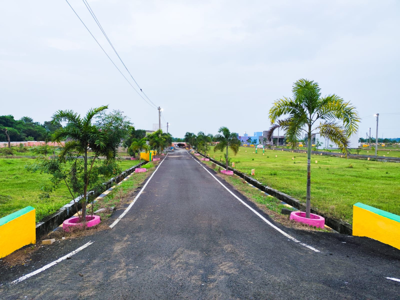  600 Sq.ft. Residential Plot for Sale in Uthiramerur, Kanchipuram