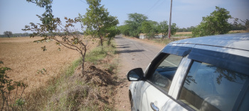  Agricultural Land for Sale in Kulana, Jhajjar