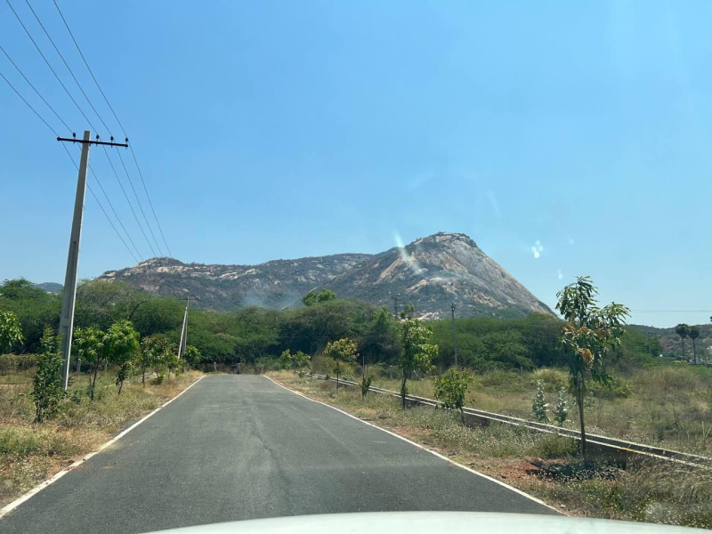  Residential Plot 1350 Sq.ft. for Sale in Chandragiri, Tirupati