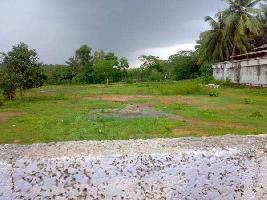 Commercial Land for Sale in Cheruvannur, Kozhikode