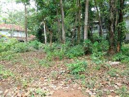  Commercial Land for Sale in Thiruvannur, Kozhikode