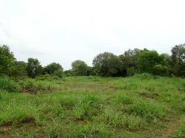  Commercial Land for Sale in Calicut, Kozhikode