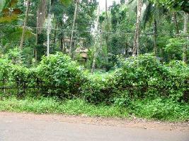  Residential Plot for Sale in Calicut, Kozhikode