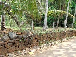  Residential Plot for Sale in Chathamangalam, Kozhikode