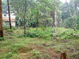  Residential Plot for Sale in Chettikulam, Kozhikode