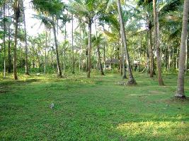  Residential Plot for Sale in Chelapram, Kozhikode