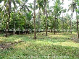  Agricultural Land for Sale in Eranhipalam, Kozhikode