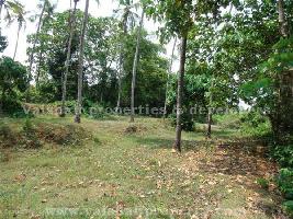  Residential Plot for Sale in Kakkodi, Kozhikode