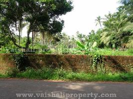  Residential Plot for Sale in Manakkadavu Road, Kozhikode