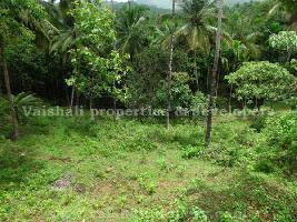  Agricultural Land for Sale in Cheekkilode, Kozhikode