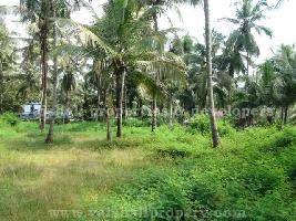  Residential Plot for Sale in Chevayur, Kozhikode