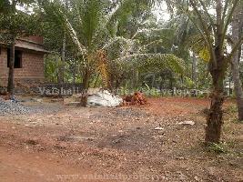  Residential Plot for Sale in Kunnamangalam, Kozhikode