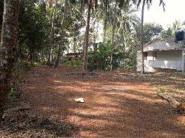  Residential Plot for Sale in Paroppadi, Kozhikode