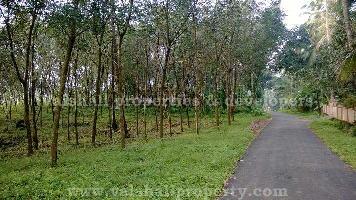  Agricultural Land for Sale in Pullurampara, Kozhikode