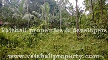  Residential Plot for Sale in Velliparambu, Kozhikode