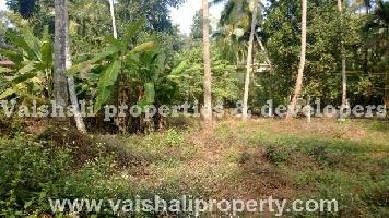  Residential Plot for Sale in Puthiyangadi, Kozhikode