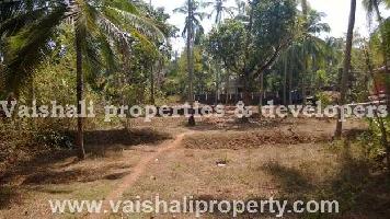  Residential Plot for Sale in Karanthur, Kozhikode