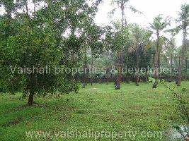  Commercial Land for Sale in Govindapuram, Kozhikode