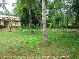  Residential Plot for Sale in Puthiyangadi, Kozhikode