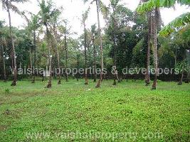  Residential Plot for Sale in Feroke, Kozhikode